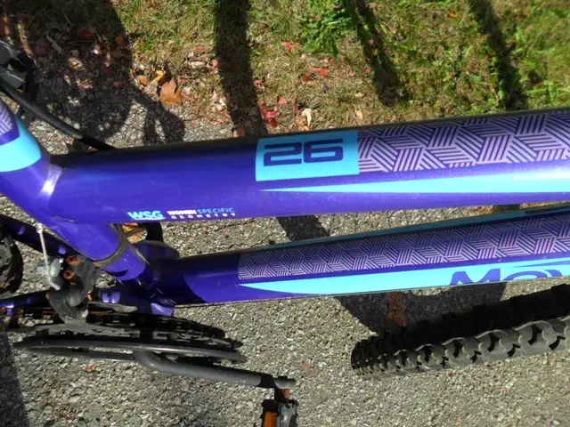 Ladies/Youth Mountain Bike in Mountain in Markham / York Region - Image 5