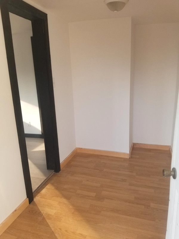 【MUST SEE】Newly Renovated 1Bedroom House in ChathamKent! Long Term