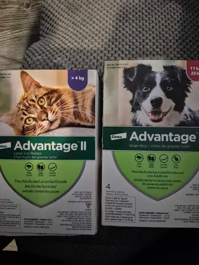I'm selling a new, unopened package of Elanco Advantage II flea and tick protection for both cats an...