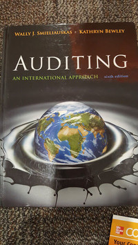 Auditing an international approach sixth edition