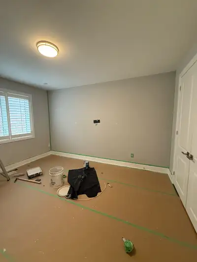 affordable painter, View more