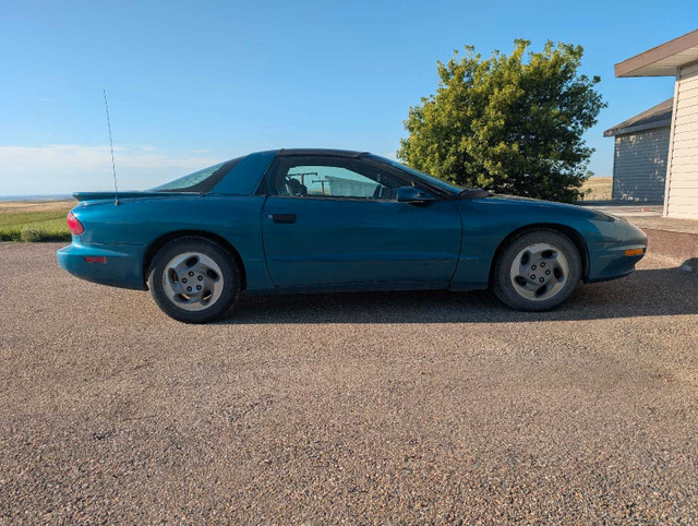 Firebird in Cars & Trucks in Medicine Hat - Image 3