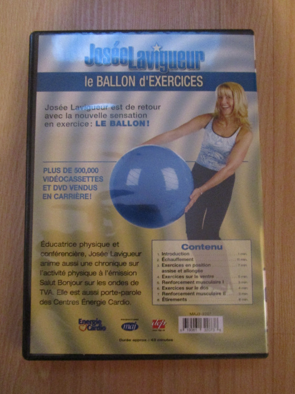 Ballons d'exercices dans Appareils d'exercice domestique  à Longueuil/Rive Sud - Image 4