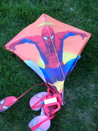 Kite for sale