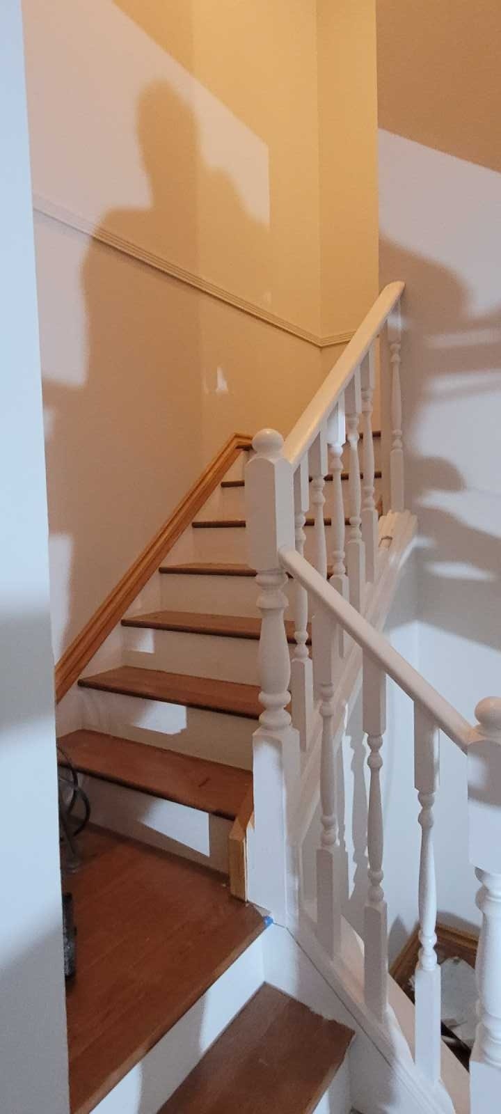 South Edmonton home for rent 5