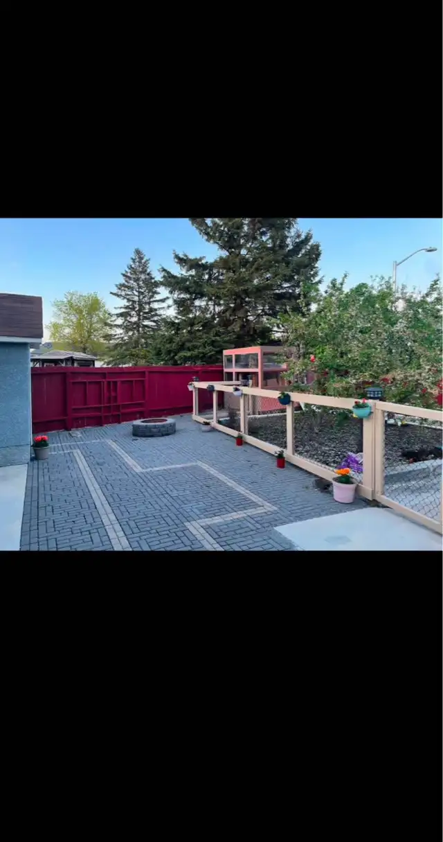 Basement for rent in Maples