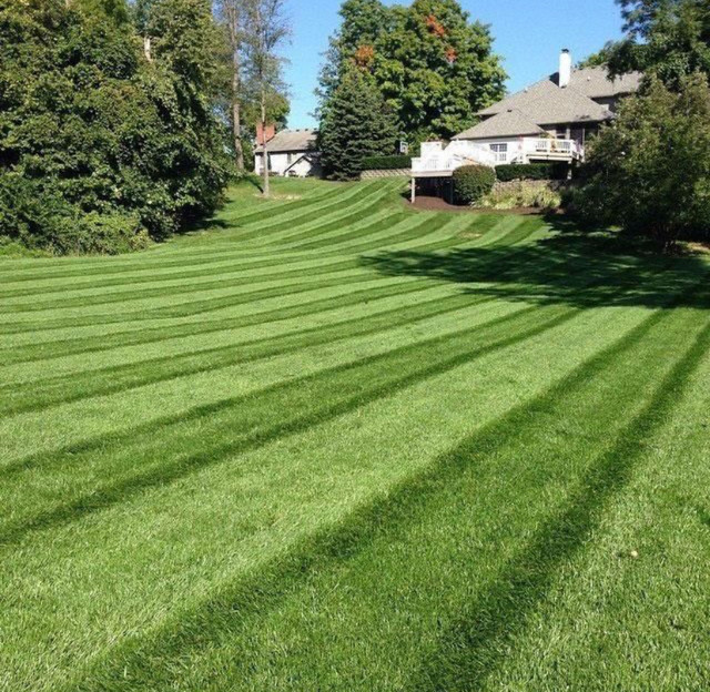 fresh aeration and other lawn … in Outdoor Décor in Oakville / Halton Region