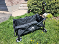 Ozark Trail folding wagon. Folds up small and can stand.