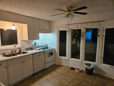 About the place: 2 bedroom trailer in Northland, close to town and hiking trails nearby. Has a yard...