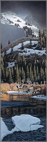 Rod Frederick signed/numbered print Woodland Crossing new, View more