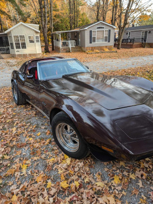 1975 Chevrolet Corvette purple