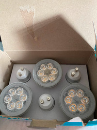 16 - 50w Halogen daylight replacement bulbs