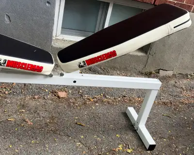 in clean good condition. Incline/flat and seated press. some wear but overall in great shape. $175 C...