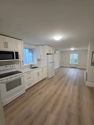 Executive One Bedroom New appliances Parking Pet friendly Downtown walking distance to everything En...