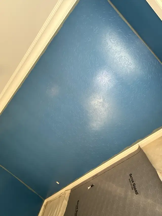 Expert Painter Available582838652188108801