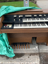 Free Organ 