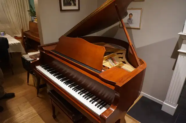 Hoffmann & Kühne Baby Grand Piano in Pianos & Keyboards in Delta/Surrey/Langley - Image 2