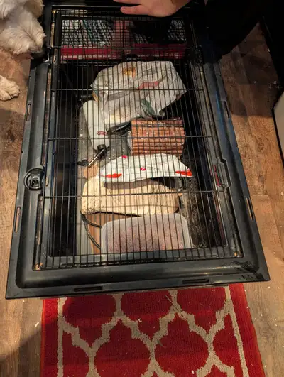 Hedgehog accessories and cage. Including water bottle, food dish, hedgehog heating pad, shelters, ex...