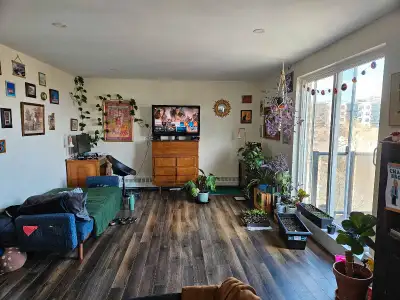 ASAP move in, one bedroom apartment