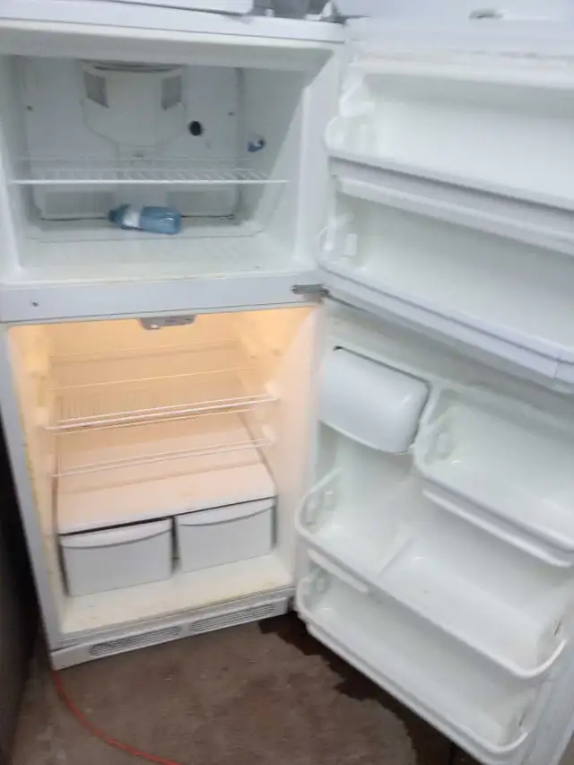refrigerator Frigidaire 28" 30 days warranty delivery available  in Refrigerators in Kitchener / Waterloo - Image 3