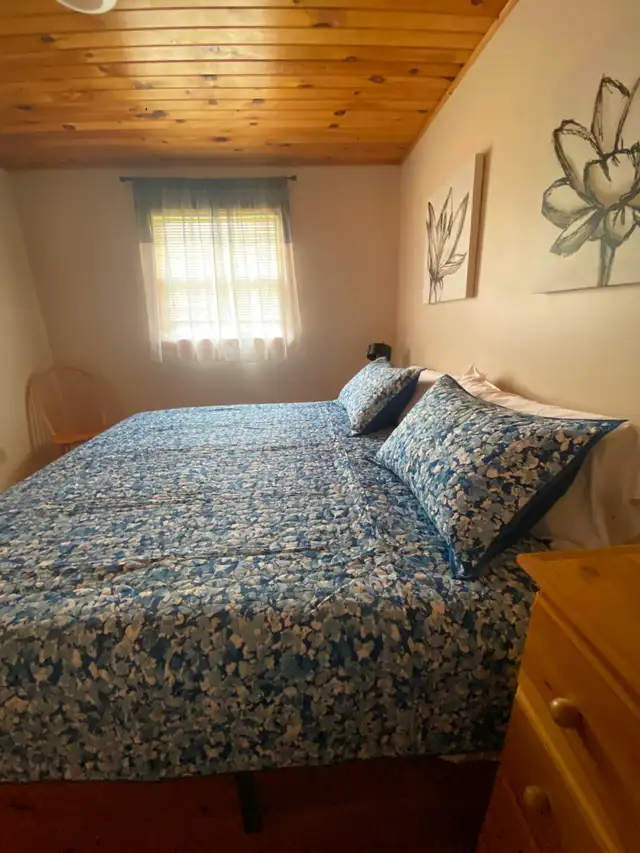 Winter Rental - 1, 2 & 3 bedroom in Long Term Rentals in Summerside - Image 8