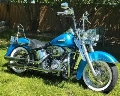 2011 softail deluxe 103ci zippers cams lots of chrome runs very well 68k very good tires updated SE...