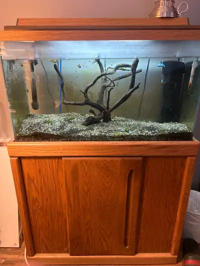 29 Gallon Aquarium , View more