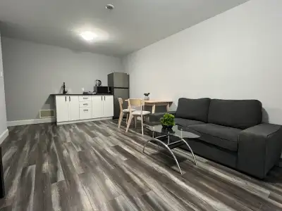 Bright & Fully Furnished Walk-Out Basement Apartment - Brand New (First Tenant!) • Location: Fleetvi...