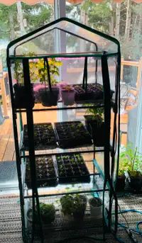 Petite Serre de jardin pour plantes  avec lumière   prix 50$