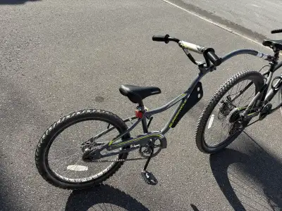 Co Pilot Bike - 20in Wheels, View more
