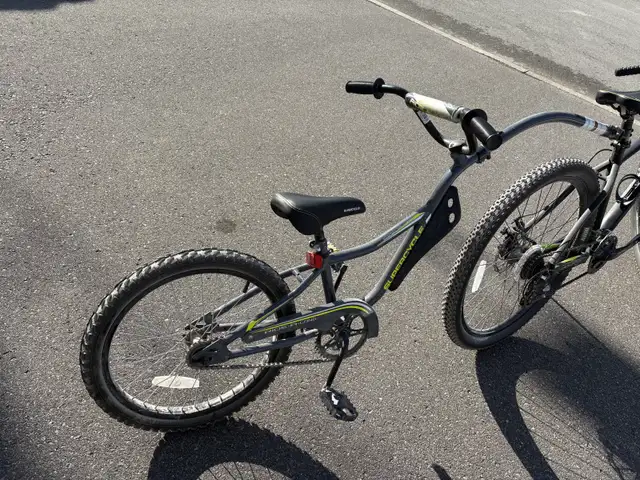 Co Pilot Bike - 20in Wheels in Kids in Ottawa - Image 2