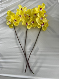 Fake orchid Stems