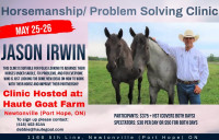 Horsemanship/Problem Solving Clinic - Port Hope !!!
