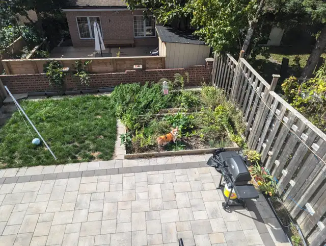 Renovated family home available for rental starting May 2026 in Long Term Rentals in City of Toronto - Image 2