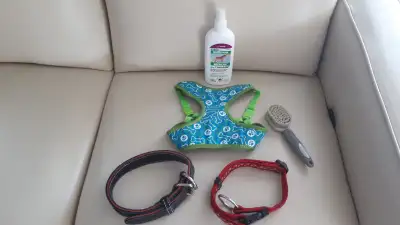 COLLIERS ET ACCESSOIRES POUR CHIEN. PRIX VARIÉS $10.00 ET PLUS COMME NEUF VOIR MES AUTRES ANNONCES.