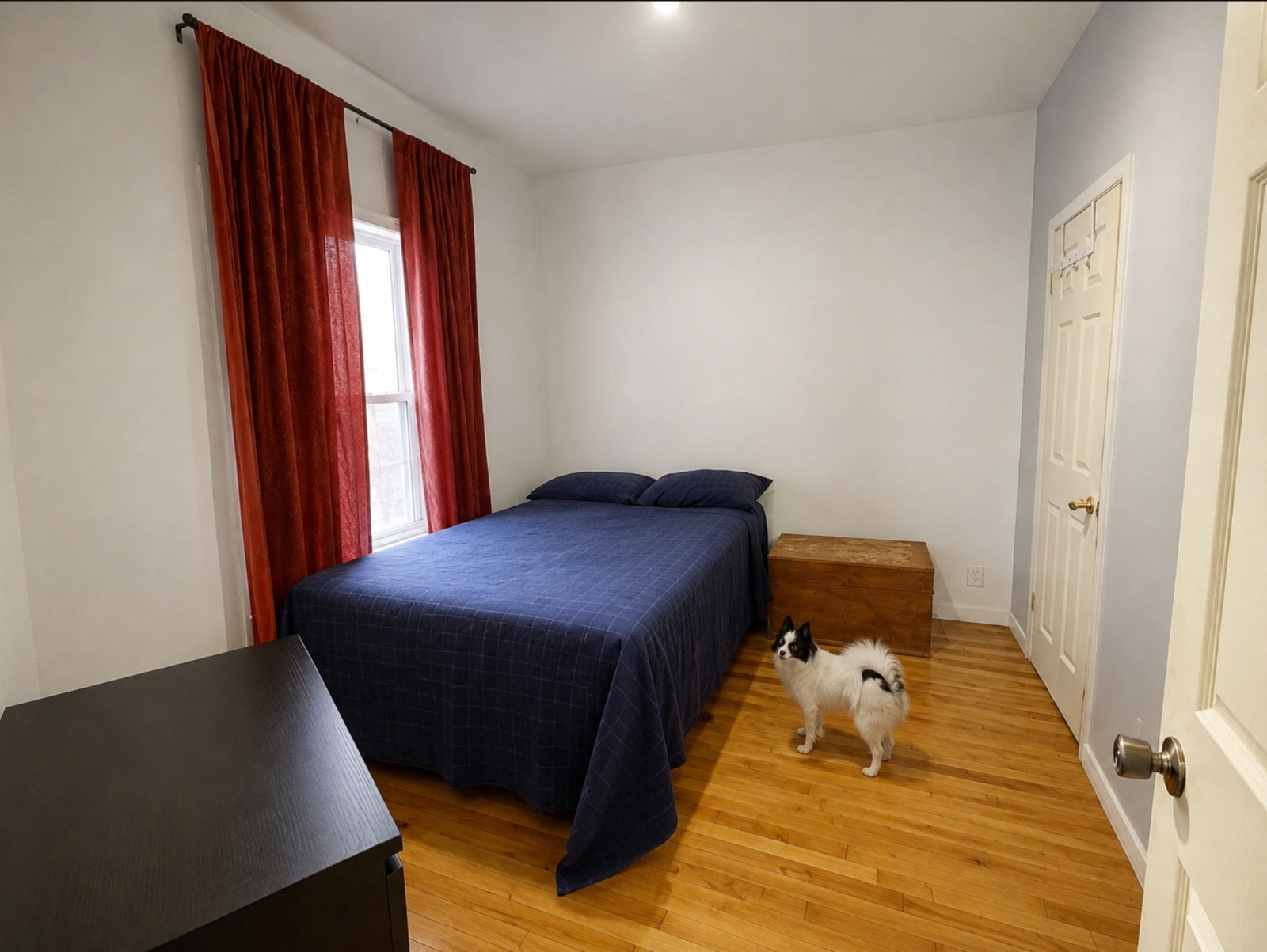 Roommate – Saint-Henri (2min from Lionel-Groulx Station) — photo 1