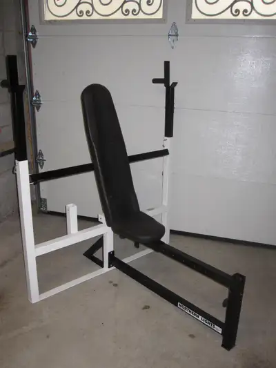 Multi Purpose Bench with Squats and Dips gym weights exercise, View more