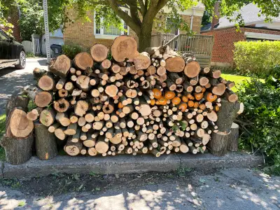 Free Firewood , View more