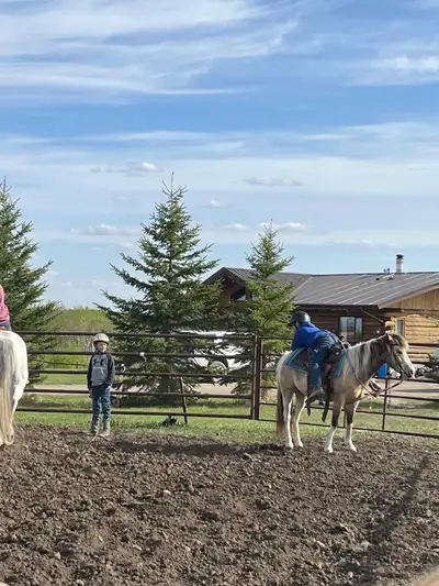 Kids Show Pony, Voir plus