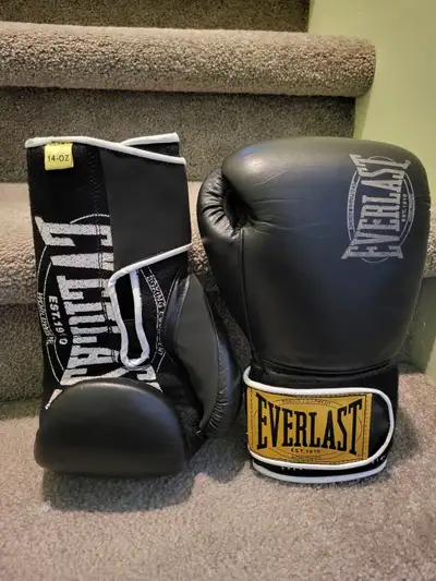Everlast 1910 Leather Boxing Gloves 14oz., View more