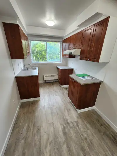 Grand 3 1/2 à louer à 1350$/mois, libre a partir du 1er juillet. Situé dans le quartier de Laval-des...
