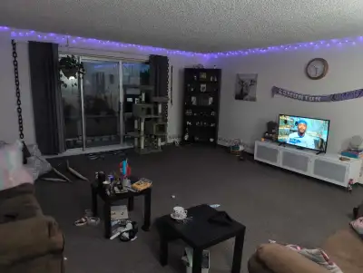 iso roomate female