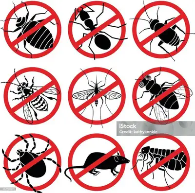 Pest & Wildlife Control, View more