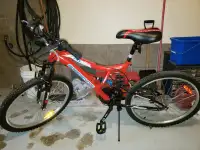 Vélo/Bike 24"