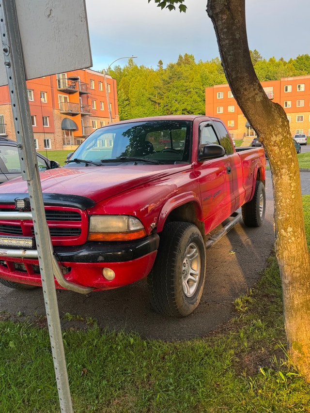 Dodge dakota 2001 — photo 3
