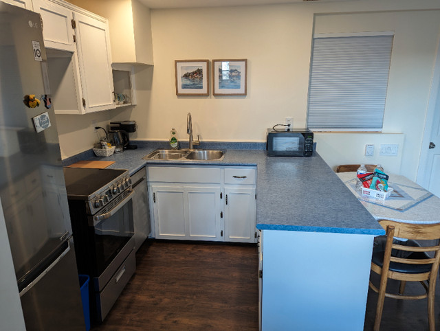 Cozy, Fully Furnished One Bedroom Suite in Short Term Rentals in Prince George