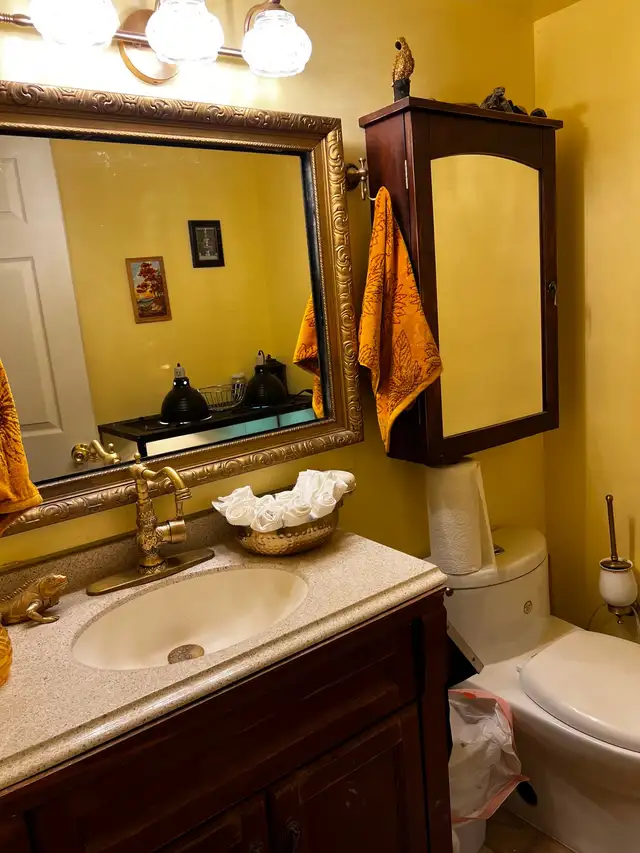 Room per a day/night  in British Columbia in Canada - Image 10