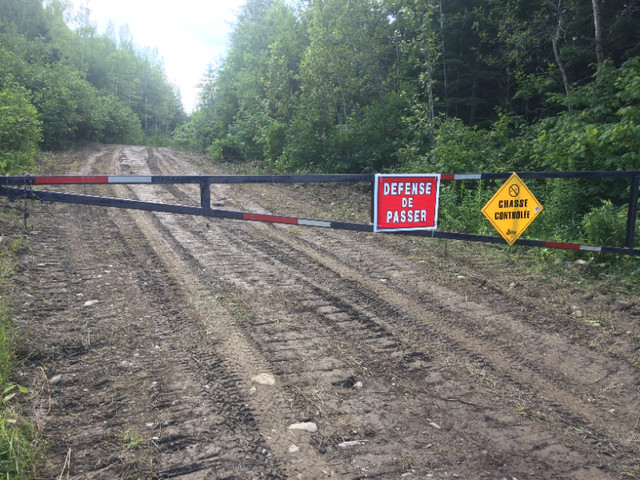 Lot boisé à vendre (terre à bois en bordure de lac) dans Terrains à vendre  à Rimouski / Bas-St-Laurent