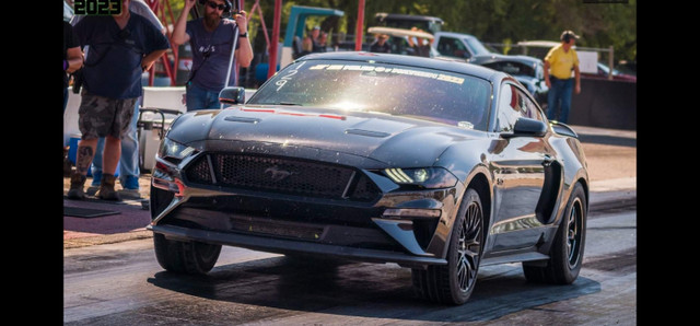 2019  Supercharged Mustang GT in Cars & Trucks in Fort McMurray