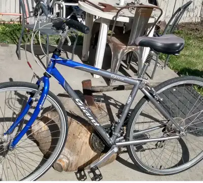 Giant hybrid cruiser mountain bike $125, View more